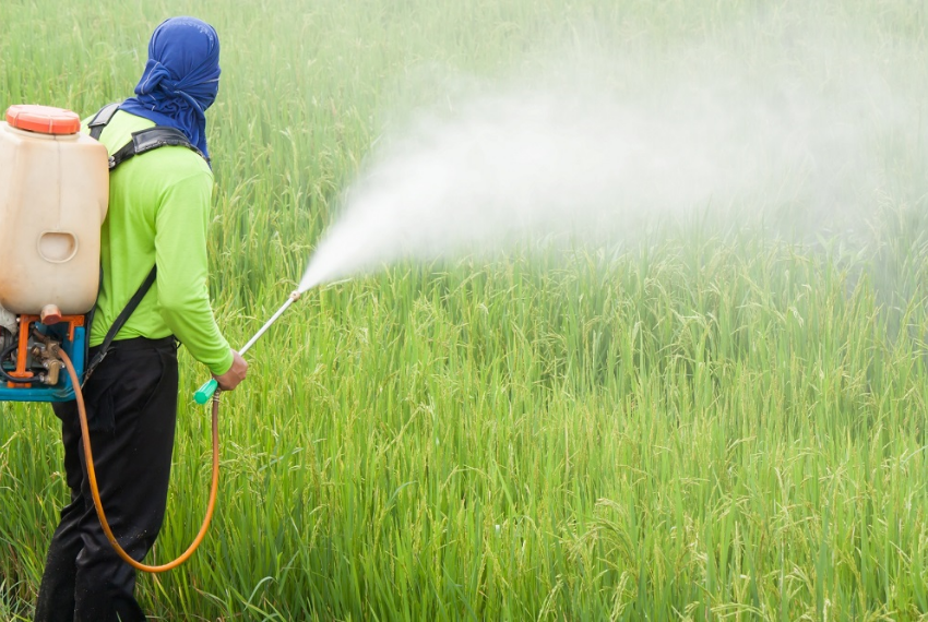Câmara vota urgência para Lei de Pesticidas nesta quinta-feira (16/12)