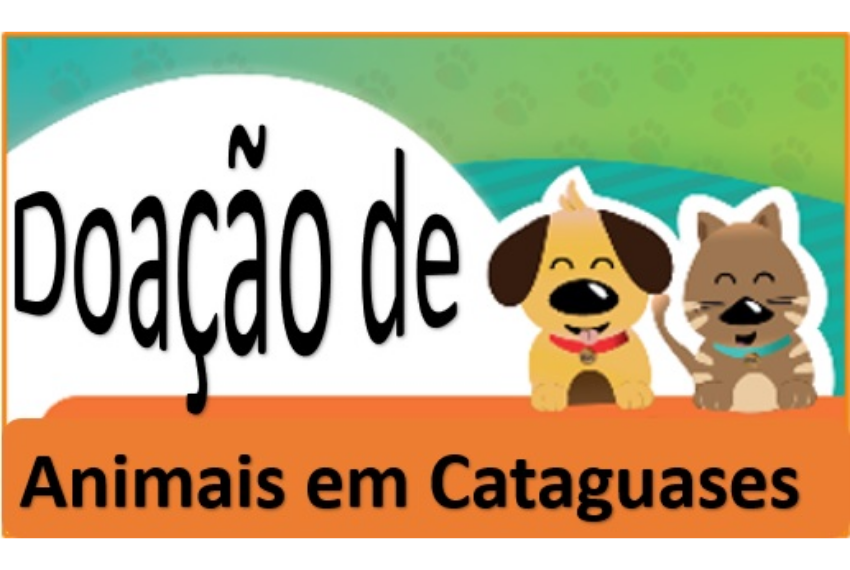 Cidade regulamenta a doação de animais a Órgão Oficial