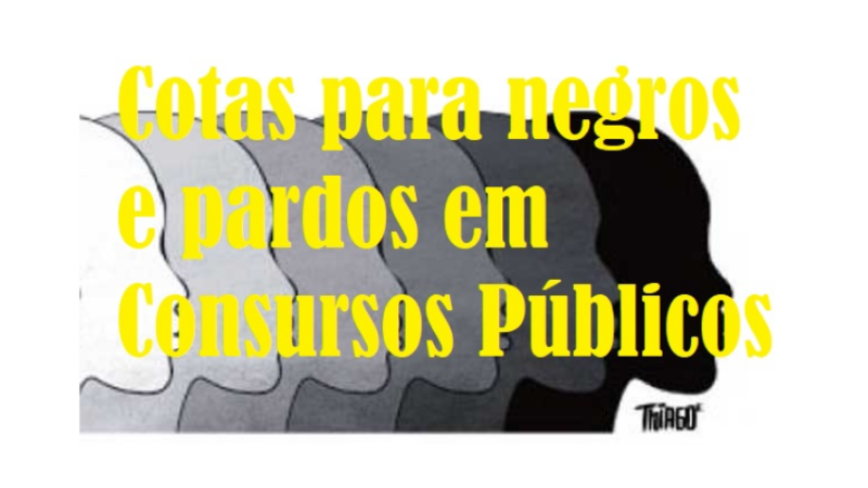 PROJETO DE LEI RECEBIDO DO LEGISLATIVO Nº 30/2022 – Trata da reserva de vagas para negros e pardos nos concursos públicos