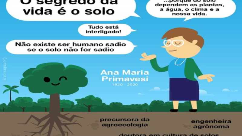 SEGREDO DA VIDA É O SOLO: “Se o solo tropical possui 20 milhões de fungos e bactérias por cm3, é de se supor que tenham um papel muito importante”.