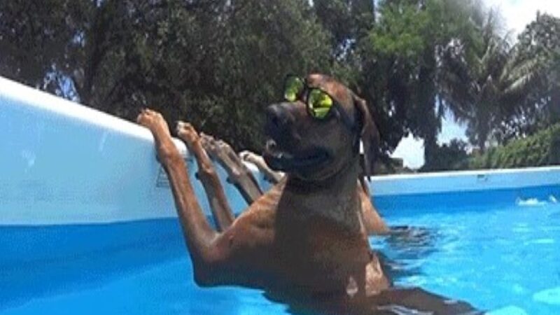 CALOR NO CORAÇÃO: Especial Verão & Negócios. “Já pintou o verão, calor no coração”