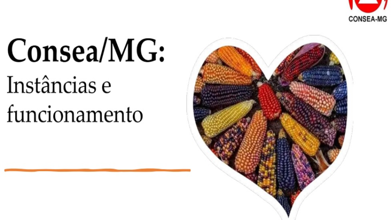 CONCEITO DE SEGURANÇA ALIMENTAR