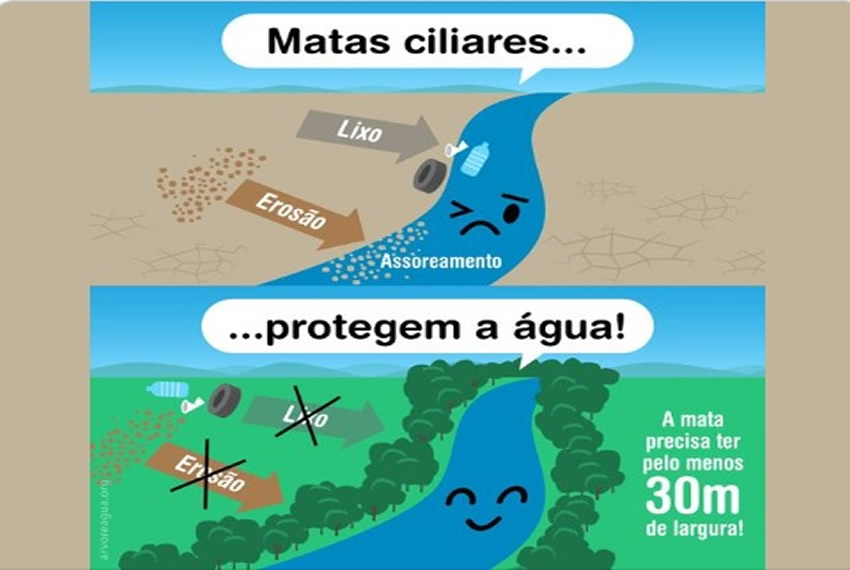 AS MATAS CILIARES: São Áreas de Preservação Permanente (APP) porque protegem as águas dos rios e riachos, lagoas e lagos, olhos d’água e nascentes.
