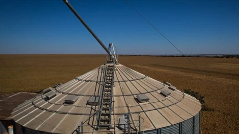 COLHEITA RÉCORDE: Brasil tem déficit de 115 milhões de toneladas em armazenagem.