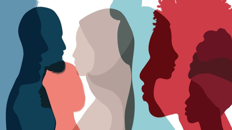 FALTA DIVERSIDADE: Começando do começo.