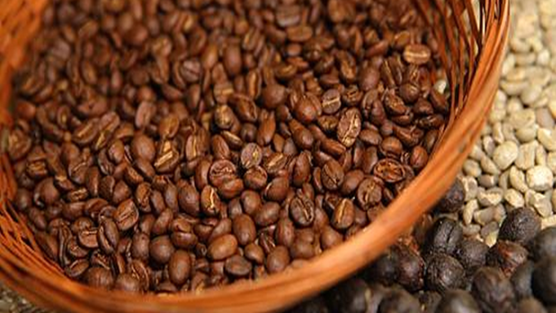 AGROPECUÁRIA: BALANÇO – Exportação brasileira de café cresce 19% em julho.
