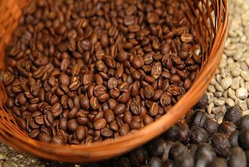 AGROPECUÁRIA: BALANÇO – Exportação brasileira de café cresce 19% em julho.