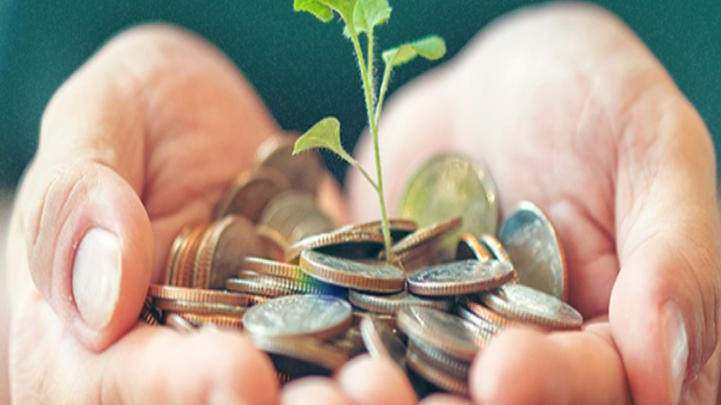 Títulos verdes: o que são e como funcionam para empresas e investidores