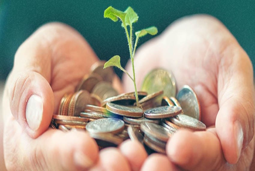Títulos verdes: o que são e como funcionam para empresas e investidores