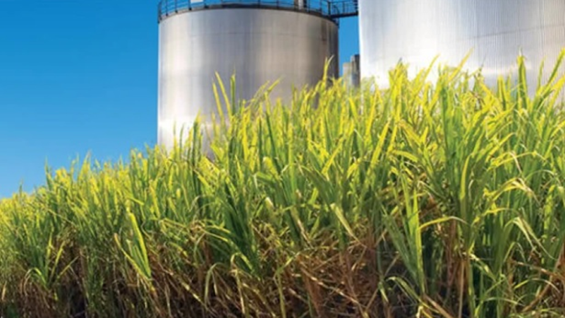 BIOCOMBÚSTIVEL: Produção de etanol chega a 1,77 bilhão de litros na primeira quinzena de outubro