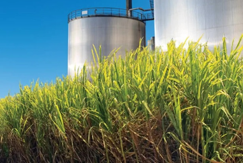BIOCOMBÚSTIVEL: Produção de etanol chega a 1,77 bilhão de litros na primeira quinzena de outubro