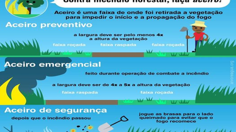 INCÊNDIO FLORESTAL