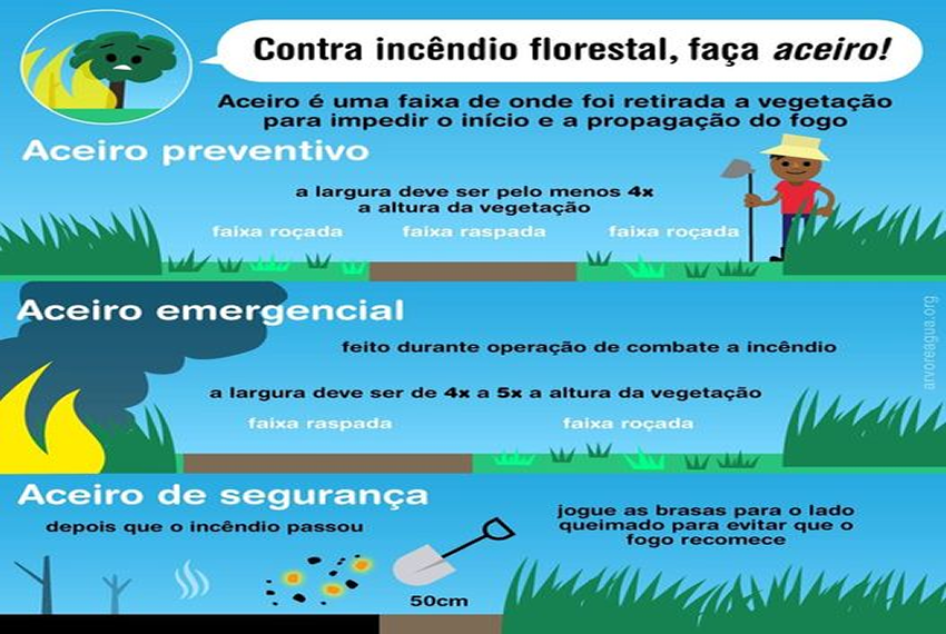INCÊNDIO FLORESTAL