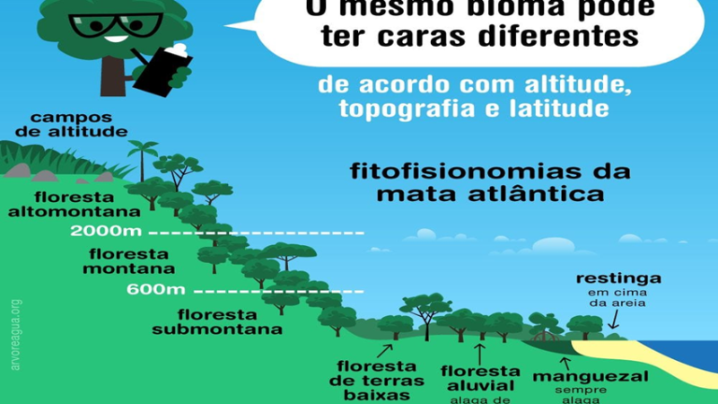 BIOMA: Mata Atlântica