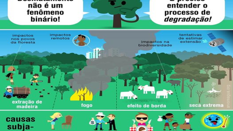 DEMATAMENTO: O que é desmatamento e o que é degradação?