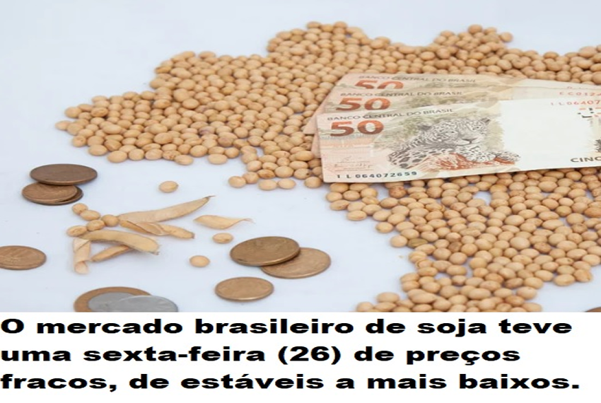 COTAÇÕES