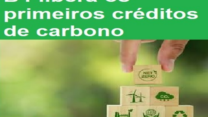 CRÉDITOS DE CARBONOS: Abertura do livro de ofertas