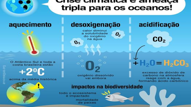 CRISE: Novo relatório da Comissão Oceanográfica Intergovernamental da UNESCO descreve o estado atual e futuro dos oceanos com as mudanças climáticas.