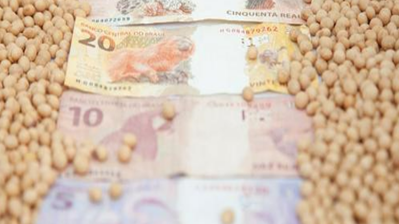 MERCADO: Produtor de soja aproveita alta dos preços para negociar; veja as cotações.