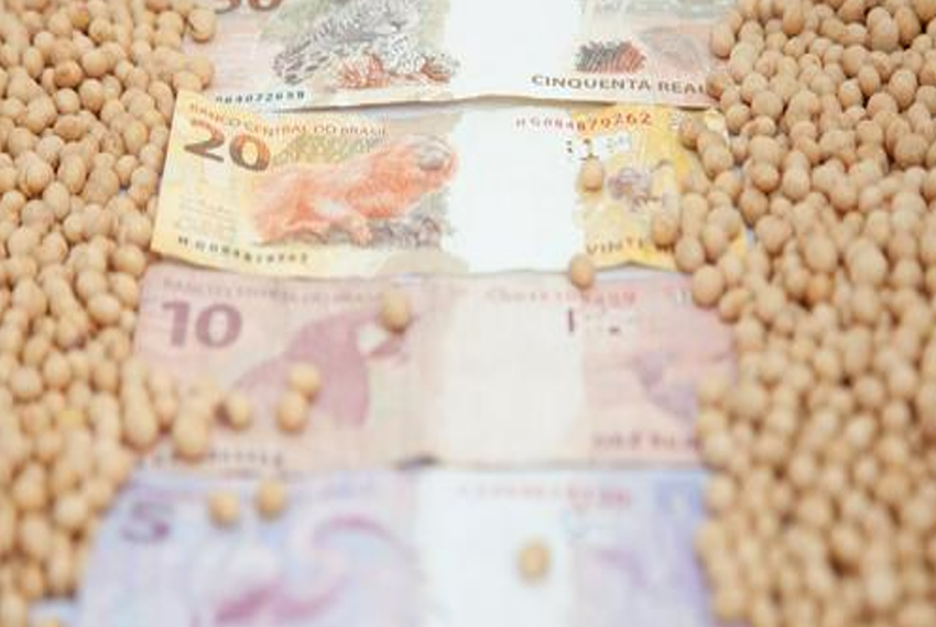 MERCADO: Produtor de soja aproveita alta dos preços para negociar; veja as cotações.