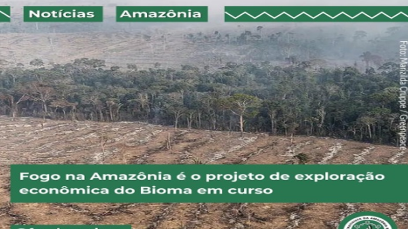 AMAZÔNIA: ð¥Os incêndios na Amazônia são parte de um projeto mais amplo de exploração econômica, movido pela demanda global por matérias-primas baratas.