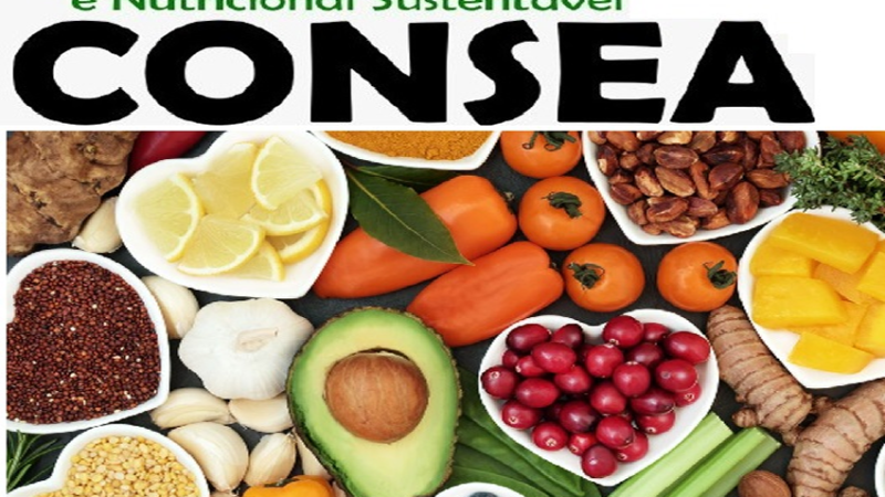 CONSEA: O que é segurança alimentar e nutricional sustentável?