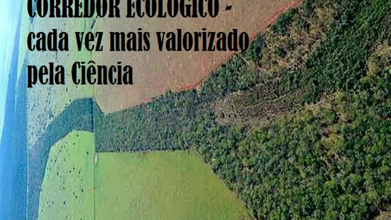 CORREDOR ECOLÓGICO: uma ponte para trocas genéticas.