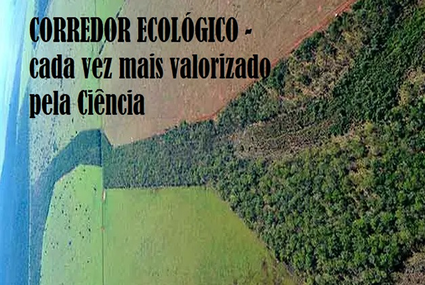 CORREDOR ECOLÓGICO: uma ponte para trocas genéticas.