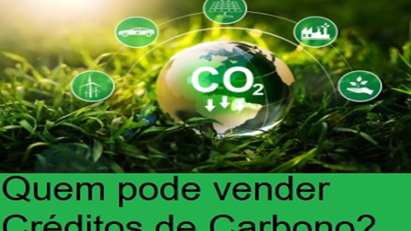 CRÉDITO DE CARBONO: Quem pode vender créditos de carbono são empresas, organizações e indivíduos que tenham projetos de redução de emissões de carbono.