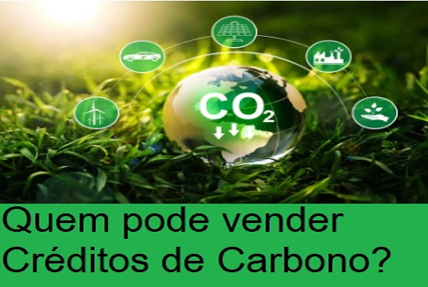 CRÉDITO DE CARBONO: Quem pode vender créditos de carbono são empresas, organizações e indivíduos que tenham projetos de redução de emissões de carbono.