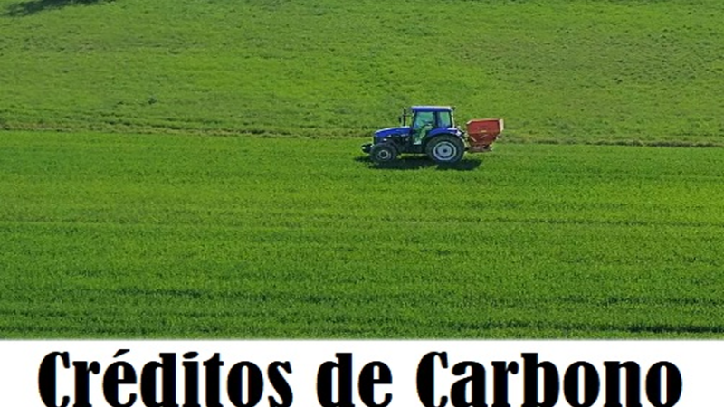 CRÉDITOS DE CARBONO: O que são os créditos de carbono? Como funcionam?