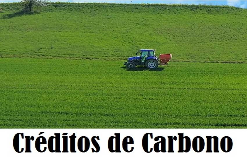 CRÉDITOS DE CARBONO: O que são os créditos de carbono? Como funcionam?