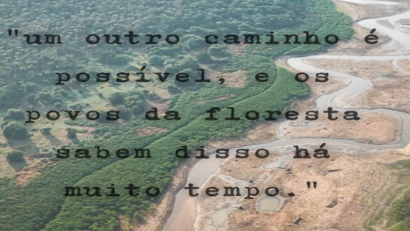 ð³✨ FLORESTA: Um outro caminho é possível!