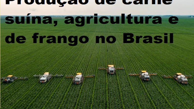 PRODUÇÃO EM RÍTMO: Produção de carne suína e de frango deve ter crescimento modesto em 2025.