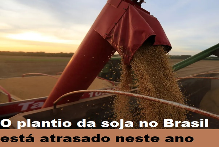 SUPER SAFRA: Safra de soja 24/25 do Brasil deve crescer 12,7%, estima Conab.