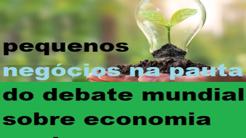 ECONOMIA VERDE: Sebrae coloca pequenos negócios na pauta do debate mundial sobre economia verde e a nova industrialização