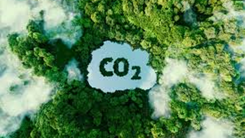 EMISSÕES CLIMÁTICAS: Brasil precisa cortar emissões em 92% até 2035