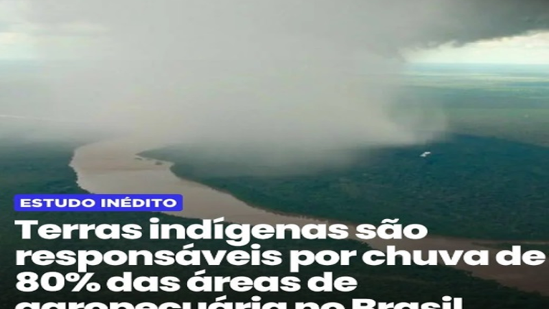 TERRAS: Além de promover a proteção do meio ambiente, as Terras Indígenas (Tis) são peça chave na manutenção de setores da economia brasileira.