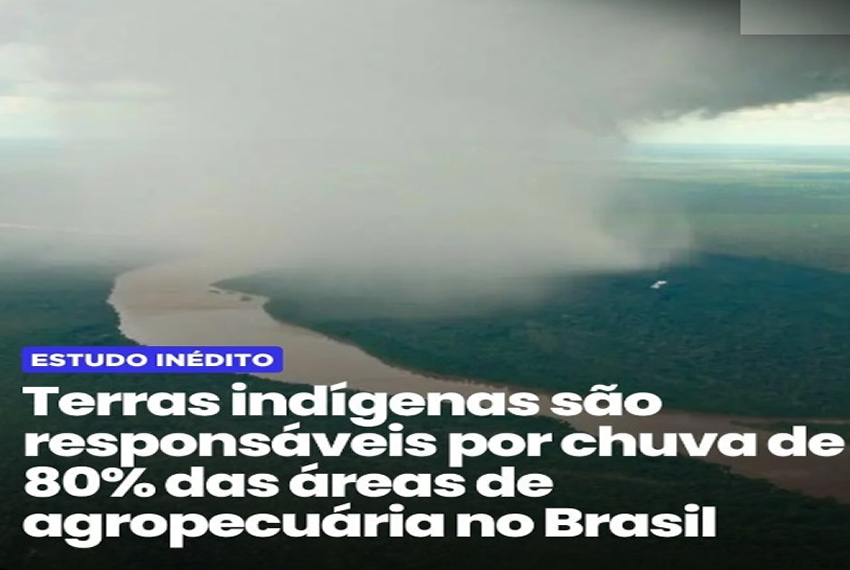 TERRAS: Além de promover a proteção do meio ambiente, as Terras Indígenas (Tis) são peça chave na manutenção de setores da economia brasileira.