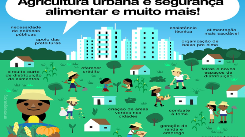 AGRICULTURA URBANA: No Brasil, mais de 70% da população vive em áreas urbanas, mas a produção de alimentos nas cidades ainda é insuficiente.