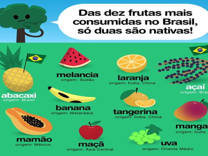 ÁRVORE, SER TECNOLÓGICO