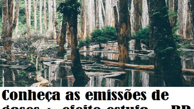 SEEG: Conheça as emissões de gases de efeito estufa do Brasil