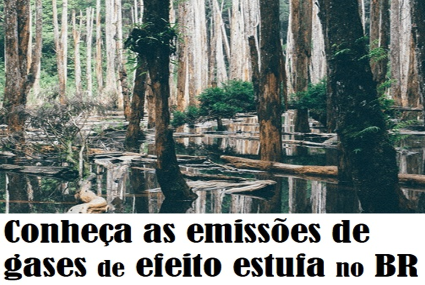 SEEG: Conheça as emissões de gases de efeito estufa do Brasil