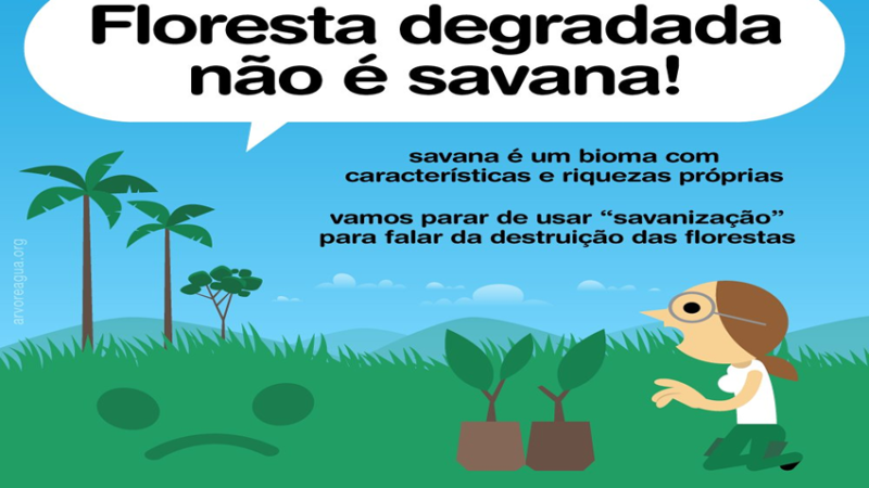 FLORESTA: Artigo publicado na revista científica Science aborda erros e acertos de projetos de restauração da savana.
