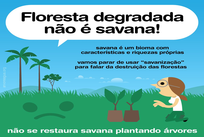 FLORESTA: Artigo publicado na revista científica Science aborda erros e acertos de projetos de restauração da savana.