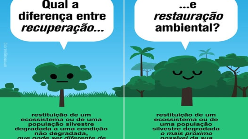 RECUPERAÇÃO/ RESTAURAÇÃO: Precisamos conhecer melhor as leis ambientais do país para cumpri-las, cobrar sua aplicação e identificar onde precisam de atualização.