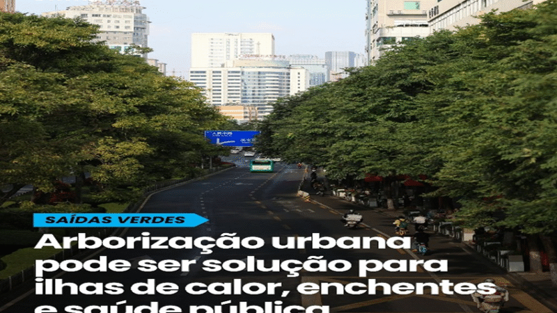 ARBORIZAÇÃO