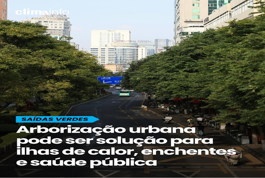 ARBORIZAÇÃO