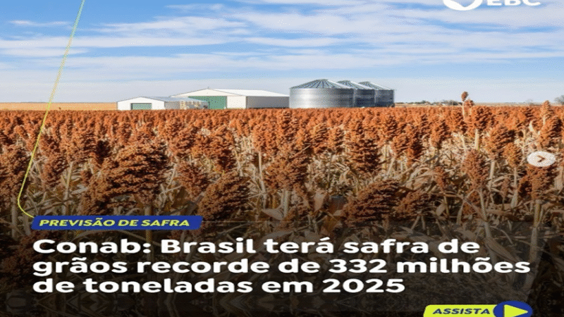 CONAB: SAFRA DE GRÃOS RECORDE EM 2025