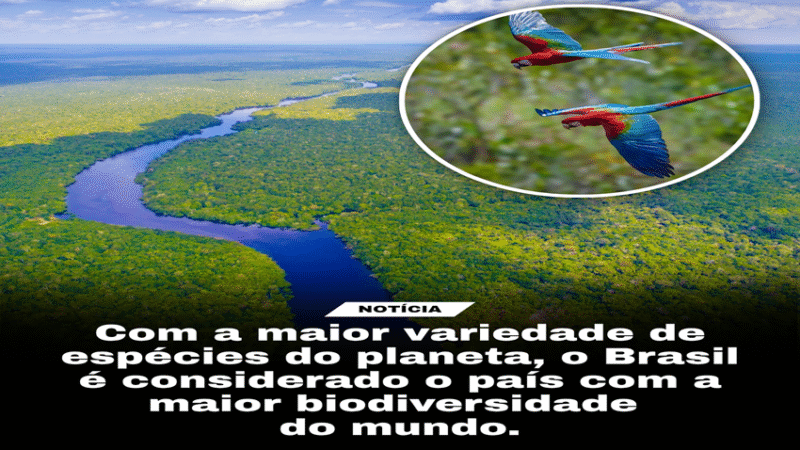 BIODIVERSIDADE
